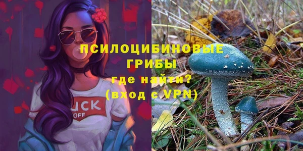 дурь Алзамай