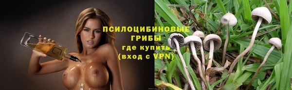 дурь Алзамай