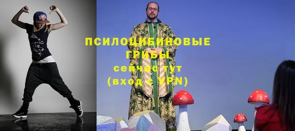 твердый Алексин