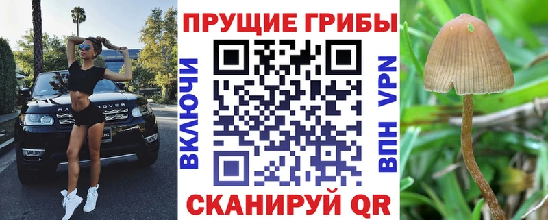 Псилоцибиновые грибы Magic Shrooms  хочу наркоту  Николаевск-на-Амуре 